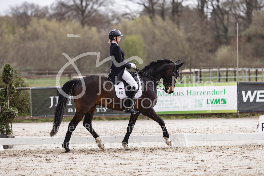 260331_Fruehlingsfest_Dressurreiter-S-421 | Deine schönsten Turniermomente als professionelle Fotos! Entdecke hochwertige Pferdesport-Fotografie im Online-Shop. Jetzt Fotos finden & bestellen!