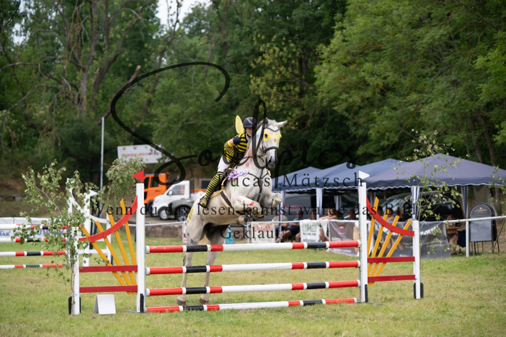 A7V07028 | Pferdefotograf