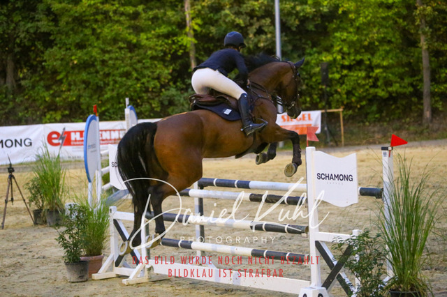 IMG_6272 | Turniersportfotografie; Pferdefotografie; Dressurfotografie