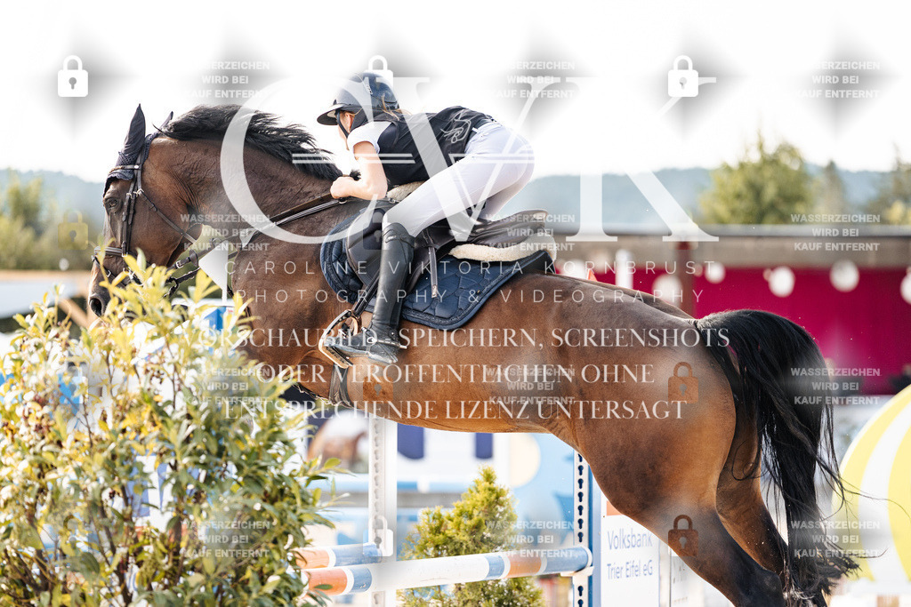 CK906204 | Turnierfotografie Pferdefotografie Trier Rheinland-Pfalz Pferdesport Reitsport Tierfotografie Sportfotografie Pferdevideo Pferdevideografie Equestrianvideography equestrianphotography  - Realisiert mit Pictrs.com