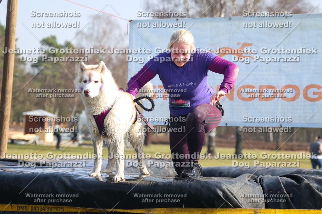 Dog Paparazzi - Strongdog North Mrz26-1580-2 | Dog Paparazzi Jeanette Grottendiek Fotografie & Videografie - Realisiert mit Pictrs.com
