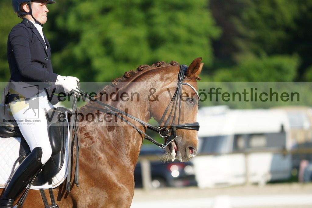 DSC02714 | equestrian-live-com