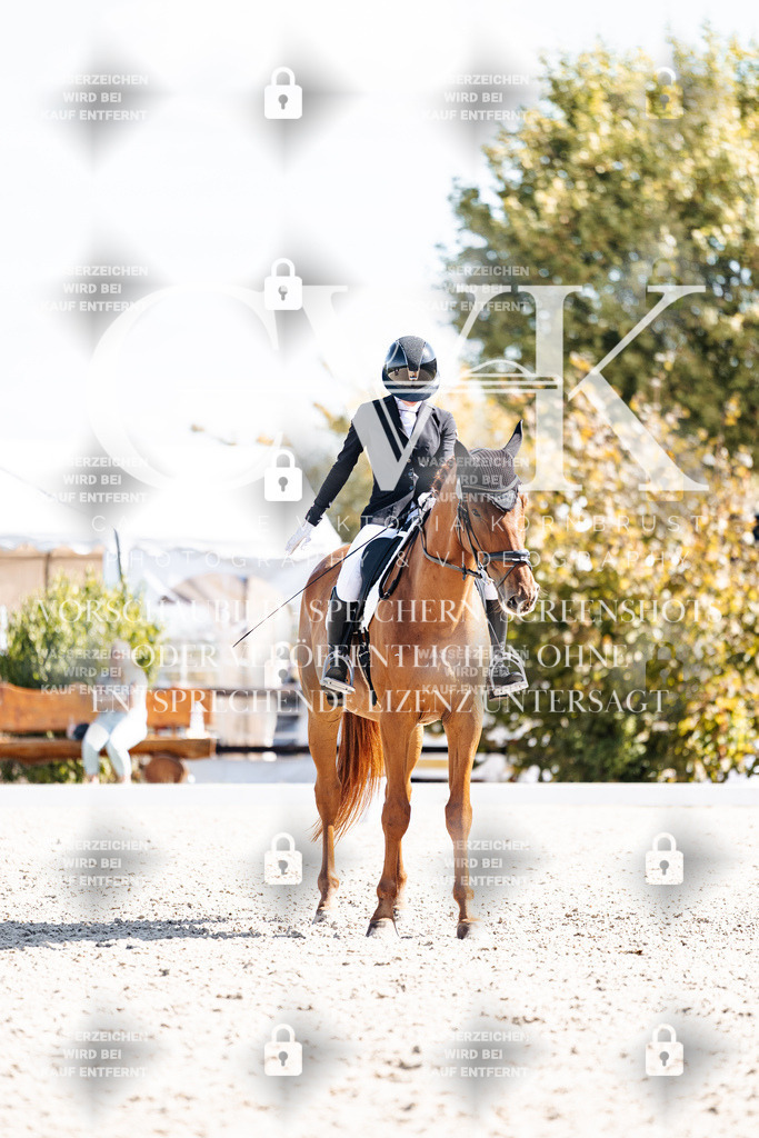 CK902886 | Turnierfotografie Pferdefotografie Trier Rheinland-Pfalz Pferdesport Reitsport Tierfotografie Sportfotografie Pferdevideo Pferdevideografie Equestrianvideography equestrianphotography  - Realisiert mit Pictrs.com