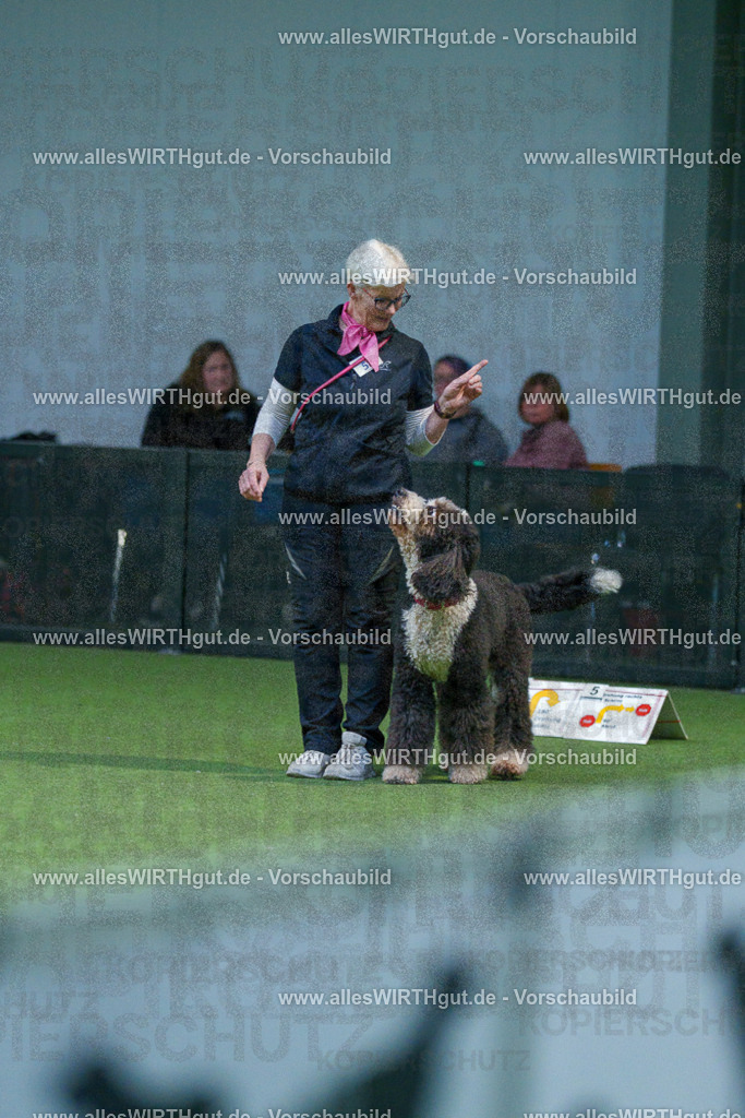 7R502678 | Professionelle Tierfotografie in Mönchengladbach von Daniel Wirth (allesWIRTHgut). Liebevolle & natürliche Bilder von Hunden & Katzen für unvergessliche Erinnerungen.