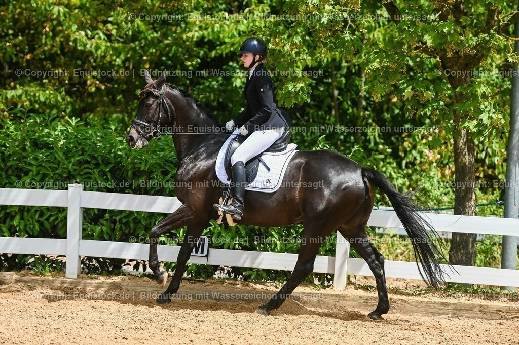 20230715_05_Dressurprüfung Kl.A++_0386 | equistock
