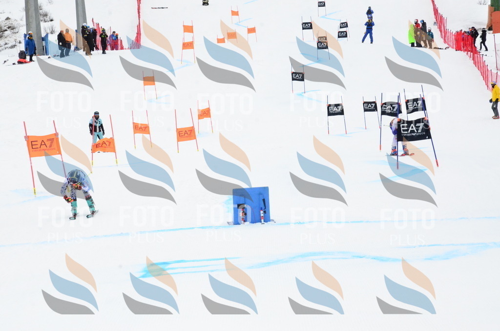 _ELE3490 | holidayphoto