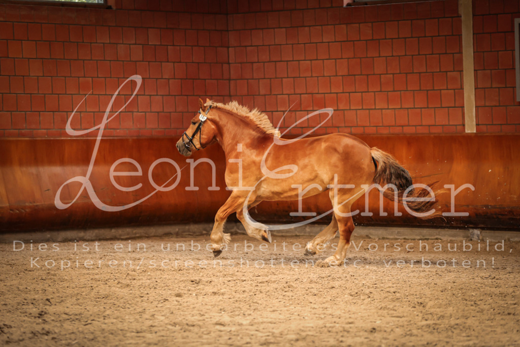 SaFL00171 | Leoni Ertmer Photography - Realisiert mit Pictrs.com