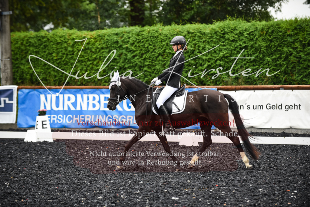 DSC_2749 | Pferde- und Turnierfotografie in Westsachsen. Pferdeportraits, Auftragszeichnungen und intuitive Kunst.