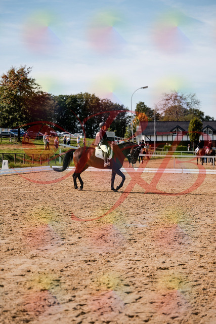 2026_10_03_Siefer-Hof_133509_Z63_94313655 | Professionelle Reitsport-, Turnier- und Eventfotografie von Robert Broda. Galerien mit ausgewählten und bearbeiteten Bildern direkt online ansehen und bestellen.