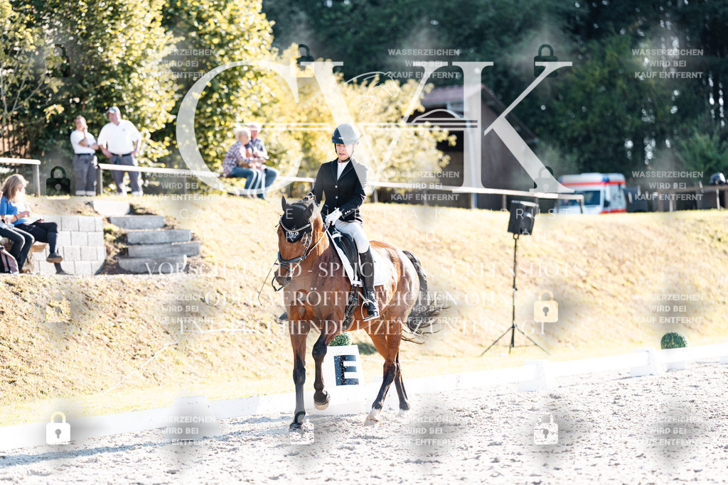 CK906813 | Turnierfotografie Pferdefotografie Trier Rheinland-Pfalz Pferdesport Reitsport Tierfotografie Sportfotografie Pferdevideo Pferdevideografie Equestrianvideography equestrianphotography  - Realisiert mit Pictrs.com