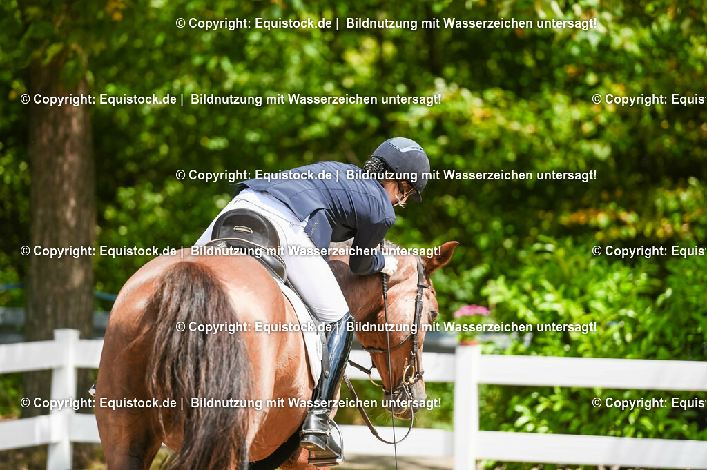 20230716_03_Dressurprfg. Kl.L - Tr._0418 | equistock