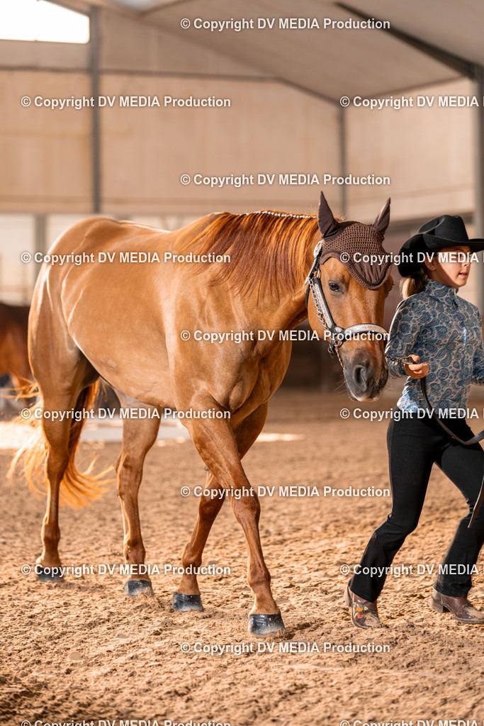 LM Heiligenwald Tag 1-37 | dv-media-shop - Realisiert mit Pictrs.com