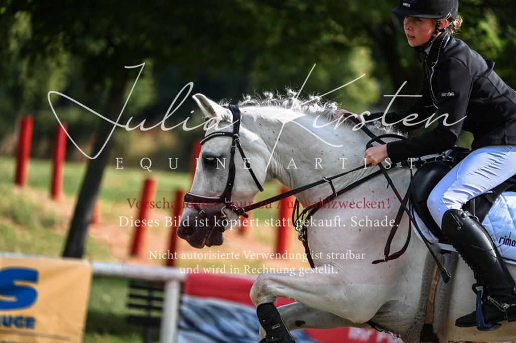 DSC_7730 | Pferde- und Turnierfotografie in Westsachsen. Pferdeportraits, Auftragszeichnungen und intuitive Kunst.