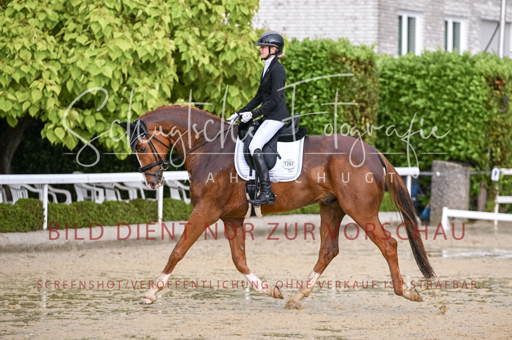 Schugtsche-Aluta25-55.Dressurreiterprf.L1Tr-333 | Schugtsche Fotografie - Realisiert mit Pictrs.com