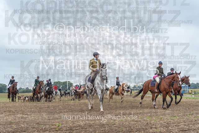 Jagd Perdoel_MarinaHewigMCH04212 | Fotografie, FotoArt, PferdesportArt, Pferdesportfotografie, Landschaftsfotografie, Reisefotografie, Reise, Pferde - Realisiert mit Pictrs.com