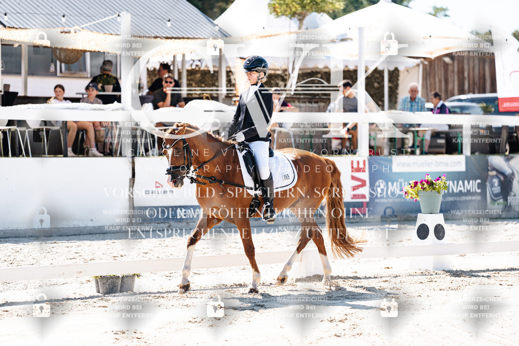 CK902266 | Turnierfotografie Pferdefotografie Trier Rheinland-Pfalz Pferdesport Reitsport Tierfotografie Sportfotografie Pferdevideo Pferdevideografie Equestrianvideography equestrianphotography  - Realisiert mit Pictrs.com