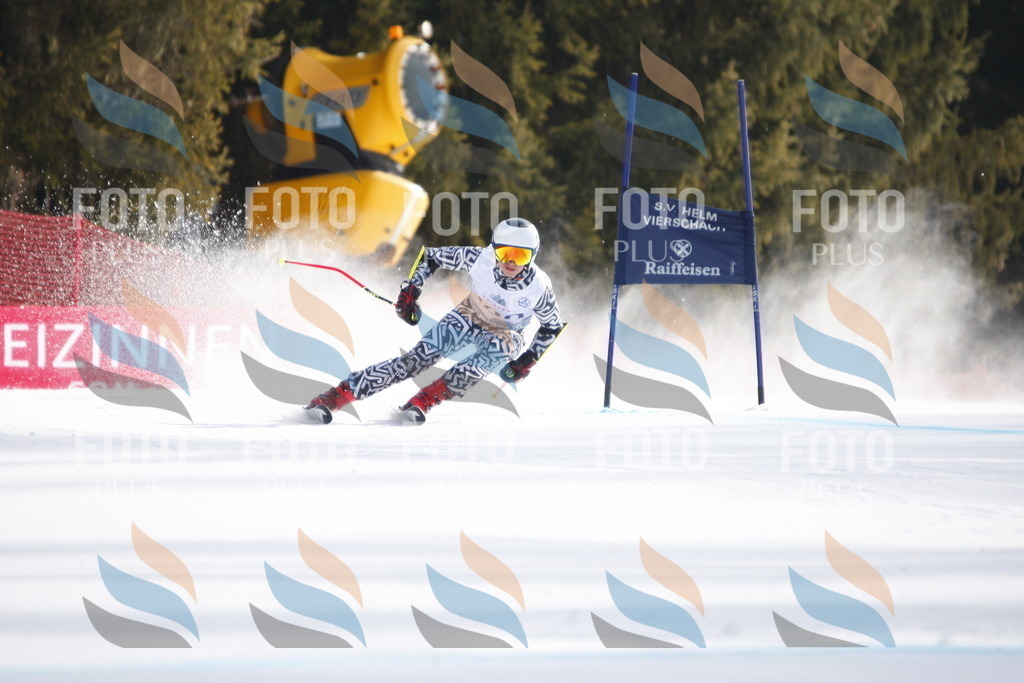 D8048 | holidayphoto