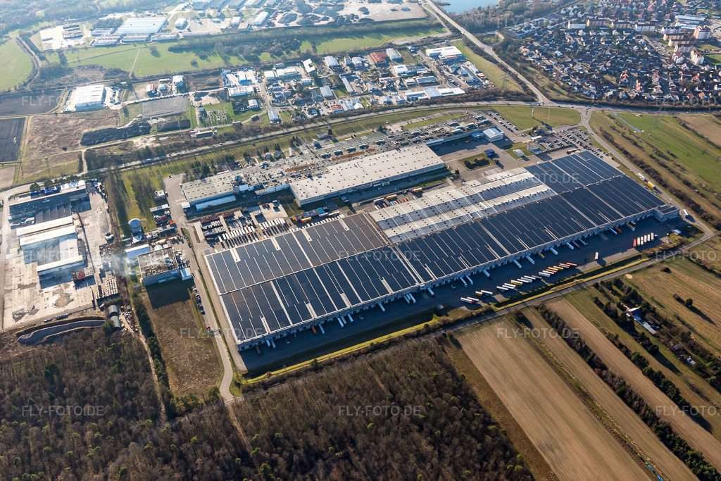 Luftbild: Goodyear Dunlop Tyres Germany in Philippsburg im Bundesland Baden-Württemberg in Deutschland. Foto: IMG_097334.jpg vom 10.03.2017 durch Werner Riehm/FLY-FOTO.de