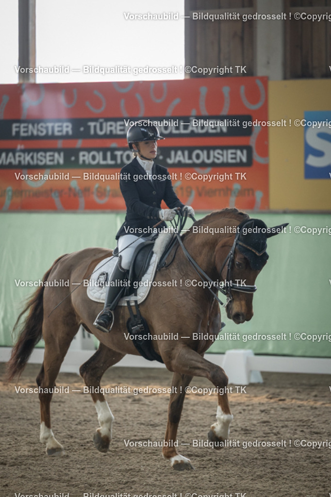 _D5A4186 | Emotionale Pferde- & People-Fotografie rund um Heidelberg, Leimen & Umgebung. Natürliche Fotos von Pferd, Mensch & Familie. Jetzt Termin sichern!