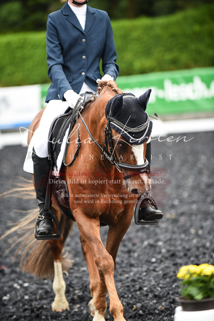 DSC_2840 | Pferde- und Turnierfotografie in Westsachsen. Pferdeportraits, Auftragszeichnungen und intuitive Kunst.