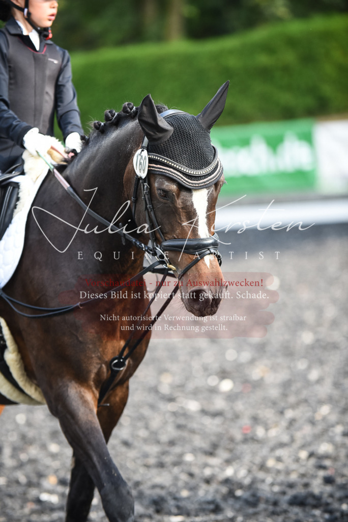 DSC_3515 | Pferde- und Turnierfotografie in Westsachsen. Pferdeportraits, Auftragszeichnungen und intuitive Kunst.