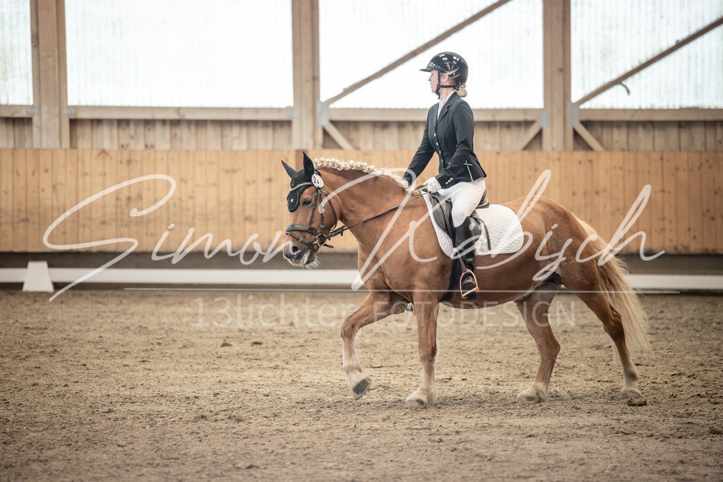 20251011-_3LI6727 | Tierfotografie Pferde, Hunde, Katzen, Haustiere.
Turnierfotografie Reitturniere, Reiten, Springreiten, Dressur in Hanau, dem Main-Kinzig-Kreis und dem Rhein-Main- Gebiet um Frankfurt