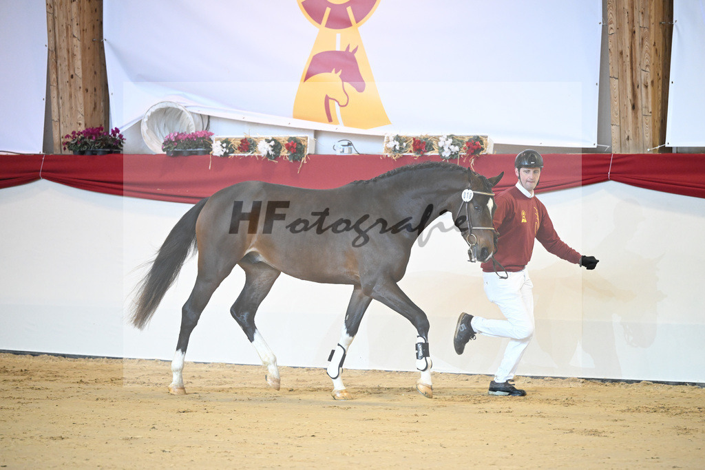 Kat-Nr. 18 Del Arko d Henvet_Mueller-Schwender_1231171 | hf-fotografie - Realisiert mit Pictrs.com