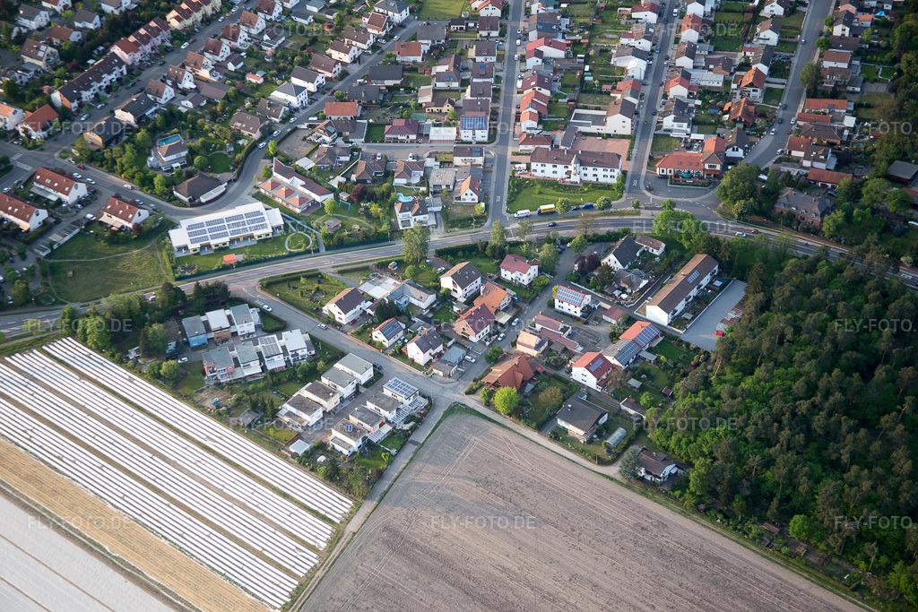 Luftbild: Birkenweg im Ortsteil Neuschloß in Lampertheim im Bundesland Hessen in Deutschland. Foto: IMG_088290.jpg vom 09.05.2016 durch Werner Riehm/FLY-FOTO.de