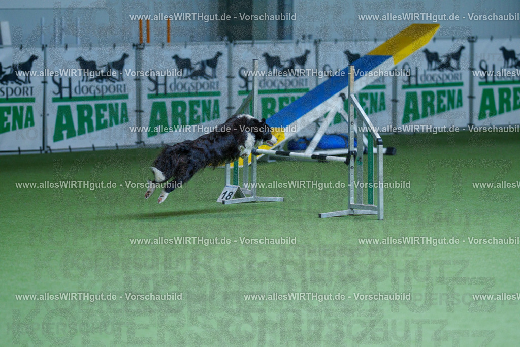 @allesWIRTHgut_Tierfotografie - www.allesWIRTHgut.de - 2604251253-7R503011 | Professionelle Tierfotografie in Mönchengladbach von Daniel Wirth (allesWIRTHgut). Liebevolle & natürliche Bilder von Hunden & Katzen für unvergessliche Erinnerungen.