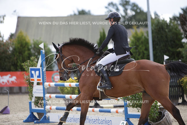 1J2A2800Meike Jalas_ Vollcool_ Kn991_ Havekost | Foto- und Videografie für alles rund ums Pferd. Hochwertige Bilder und Videos vom Spring- und Dressurreiten, Voltigieren & mehr. Jetzt aktuelle Veranstaltungen und Preise im Shop ansehen. - Realisiert mit Pictrs.com