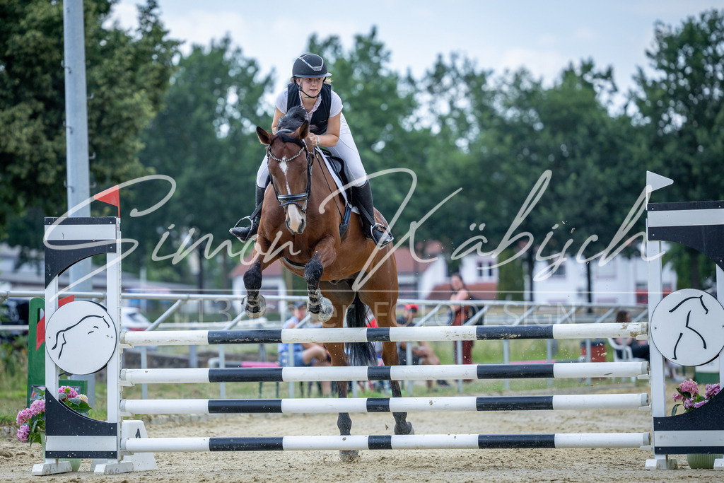 20260704-_3LI1514 | Tierfotografie Pferde, Hunde, Katzen, Haustiere.
Turnierfotografie Reitturniere, Reiten, Springreiten, Dressur in Hanau, dem Main-Kinzig-Kreis und dem Rhein-Main- Gebiet um Frankfurt