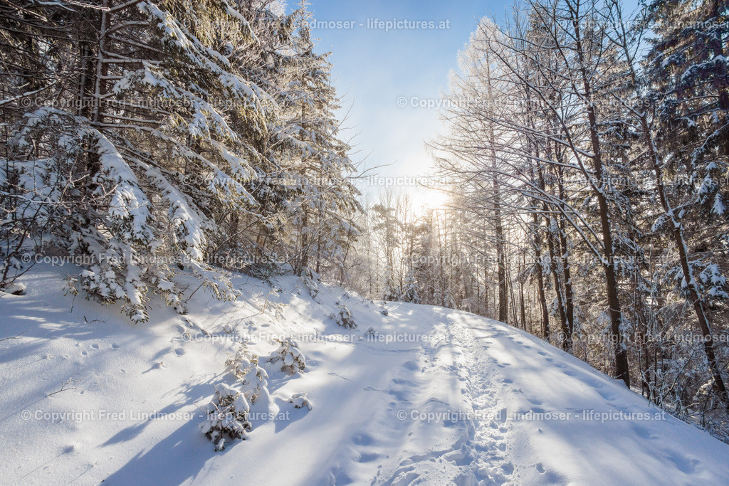 Mariazellerland Morgennebel 2501022--5 | Fotos und Fotoprodukte - Realisiert mit Pictrs.com