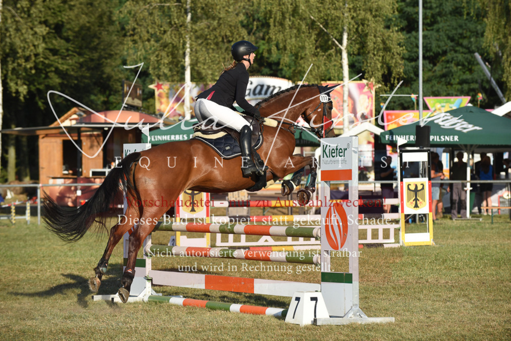 DSC_4859 | Pferde- und Turnierfotografie in Westsachsen. Pferdeportraits, Auftragszeichnungen und intuitive Kunst.