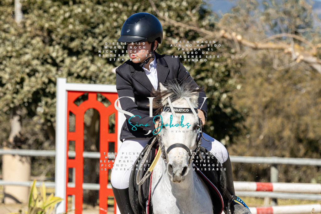 IMG_9019 | s-jay-photography - Realisiert mit Pictrs.com