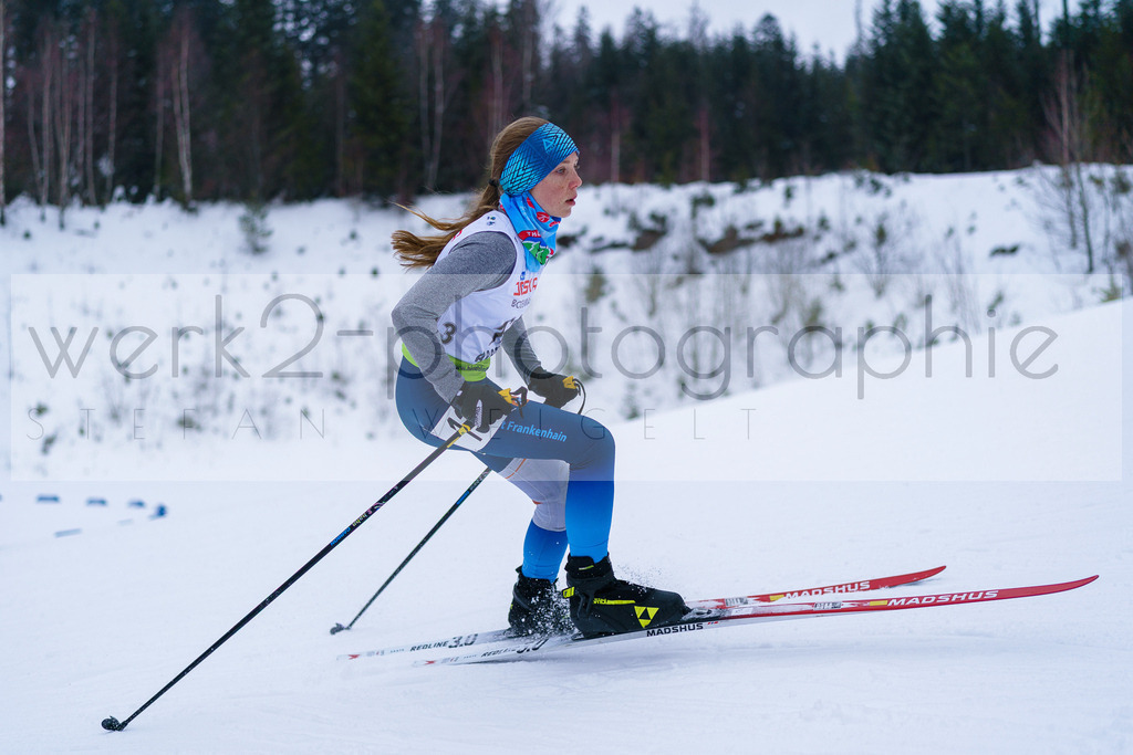 DSC Arber | Bayerischer Wald am 9. bis 12. Februar 2023
