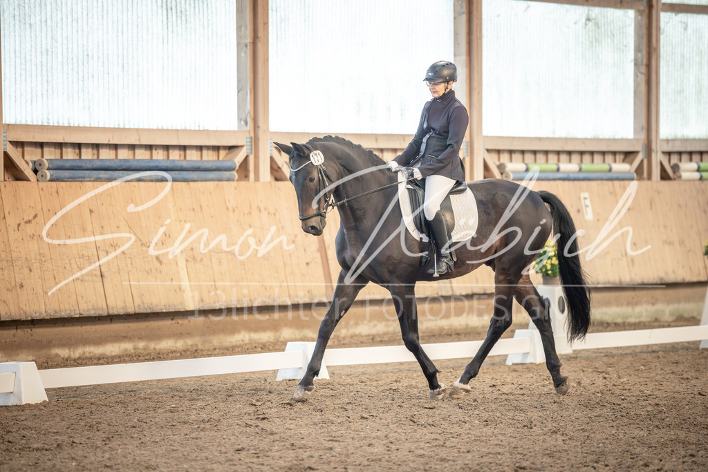 20251011-_3LI6490 | Tierfotografie Pferde, Hunde, Katzen, Haustiere.
Turnierfotografie Reitturniere, Reiten, Springreiten, Dressur in Hanau, dem Main-Kinzig-Kreis und dem Rhein-Main- Gebiet um Frankfurt