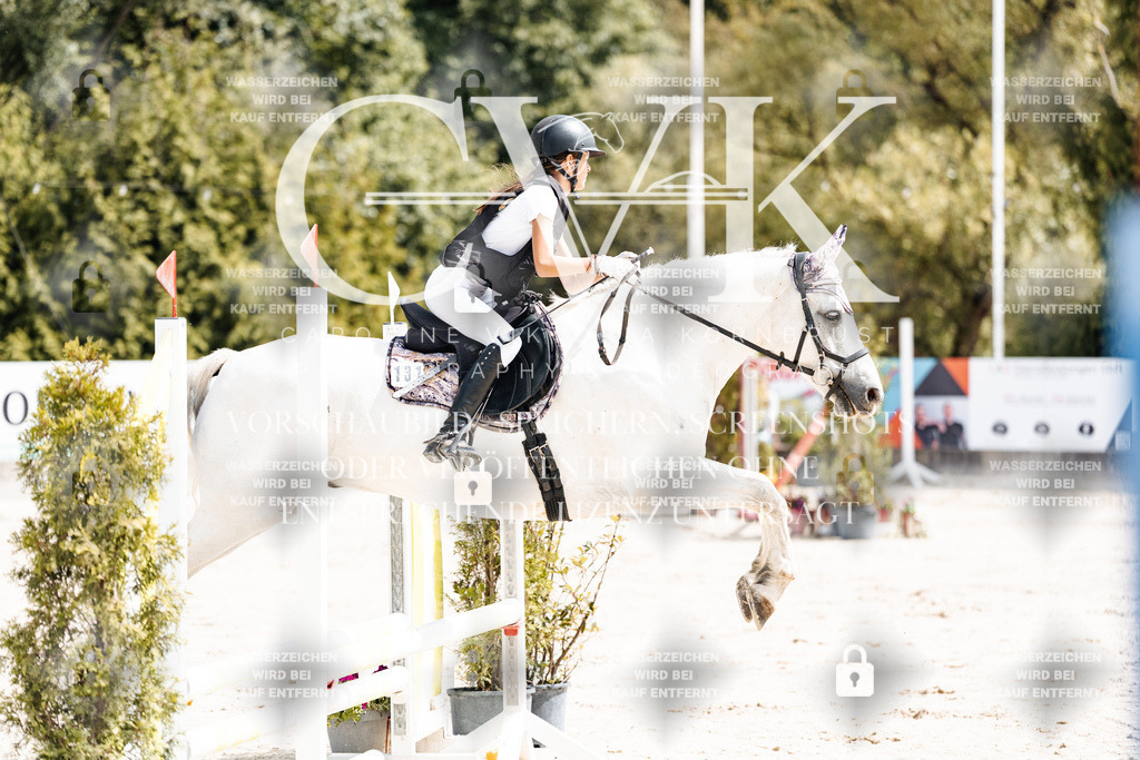 CK906491 | Turnierfotografie Pferdefotografie Trier Rheinland-Pfalz Pferdesport Reitsport Tierfotografie Sportfotografie Pferdevideo Pferdevideografie Equestrianvideography equestrianphotography  - Realisiert mit Pictrs.com