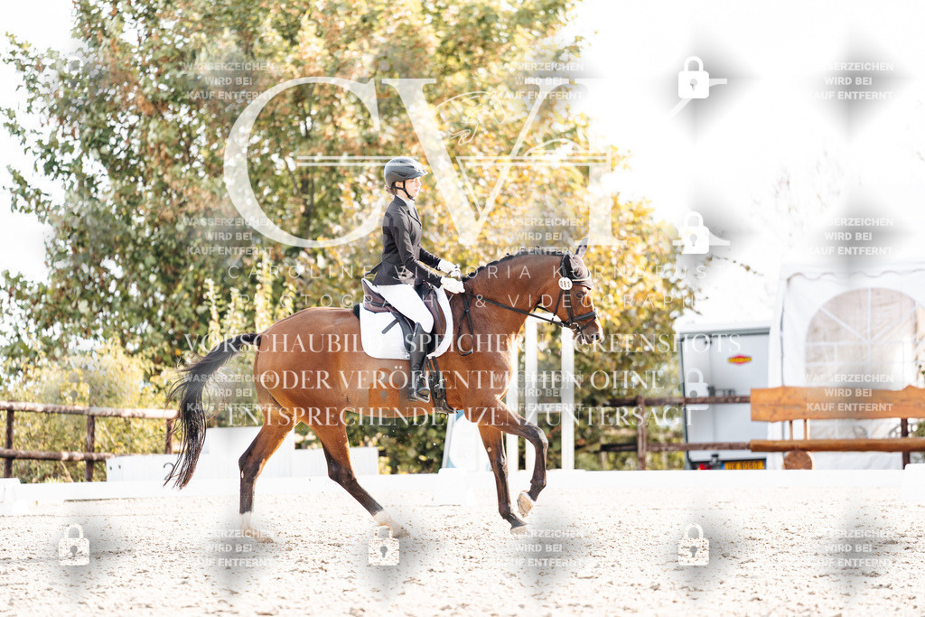 CK900932 | Turnierfotografie Pferdefotografie Trier Rheinland-Pfalz Pferdesport Reitsport Tierfotografie Sportfotografie Pferdevideo Pferdevideografie Equestrianvideography equestrianphotography  - Realisiert mit Pictrs.com