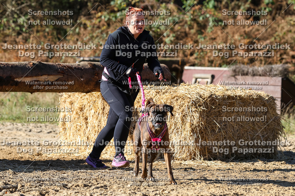 Dog Paparazzi - Strongdog 10-25-2759 | Dog Paparazzi Jeanette Grottendiek Fotografie & Videografie - Realisiert mit Pictrs.com