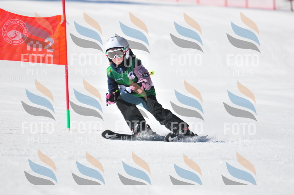 C3045 | holidayphoto