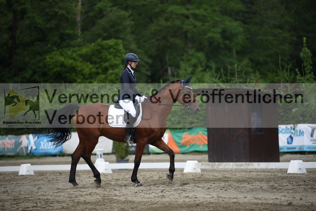 DSC_8610 | equestrian-live-com