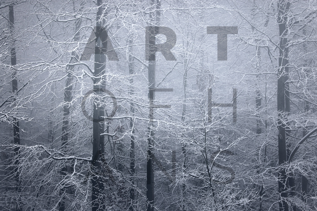 Ein Hans Fineart Original | Entdecke die Kunst von Hans Fineart - Fotografien für dein Zuhause. Verwandle deine Wände mit einzigartigen Kunstwerken und bringe die Schönheit der Welt in dein Leben. Bestelle jetzt und schaffe einen Ort der Inspiration und Eleganz.