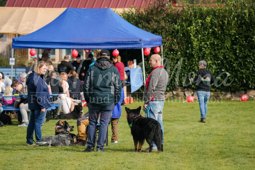 20250928_Hunderennen-328 | MuT (Mensch und Tier) mit Mona - Fotografie und Tierkommunikation - Realisiert mit Pictrs.com