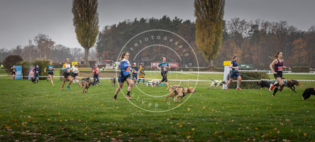 CaniXpix_DV3A8838 | Hundefotografie, Tierfotograf, Pfotenfotografie, Fotoshooting Hund, Hunde Portrait, Hundesport, Hundeportraits, Heideshooting, Hunde, Sportfotograf, Hundefotograf, Turnierhundsport, THS,  - Realisiert mit Pictrs.com