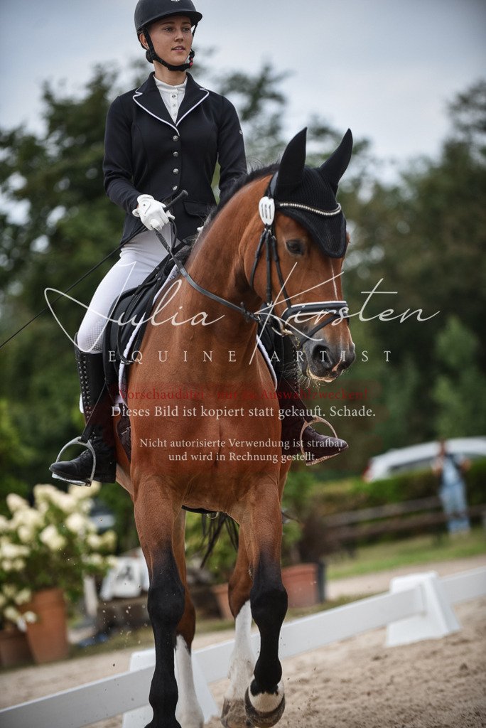 DSC_8285 | Pferde- und Turnierfotografie in Westsachsen. Pferdeportraits, Auftragszeichnungen und intuitive Kunst.