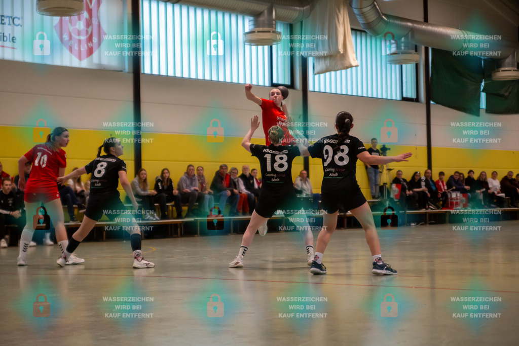 _HP_2050_3000o | JSG Welling-Bassenheim gegen HSG Dudenhofen-Schifferstadt 09.03.2024