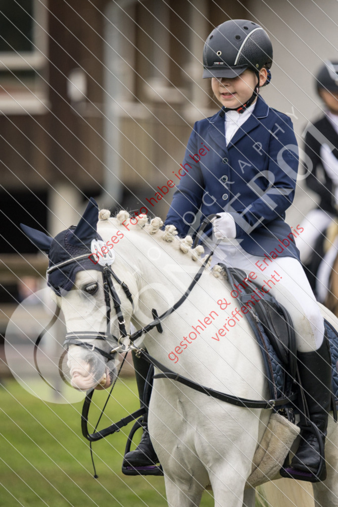 IMG_1764 | Sport-, Event- und Tierfotos in Profiqualität. Einfach auswählen, bestellen und herunterladen. Dein Moment – perfekt festgehalten.