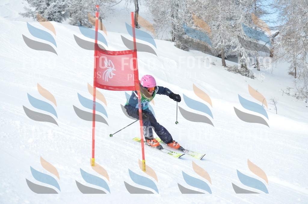 D8801 | holidayphoto