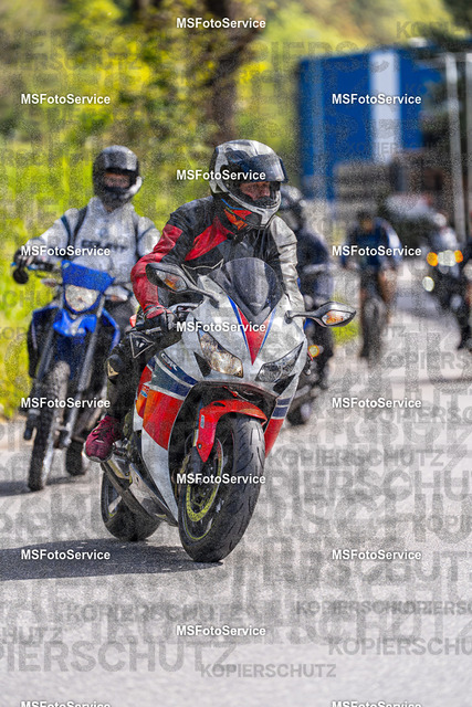MSFotoService-541 | MSFotoService - Realisiert mit Pictrs.com
