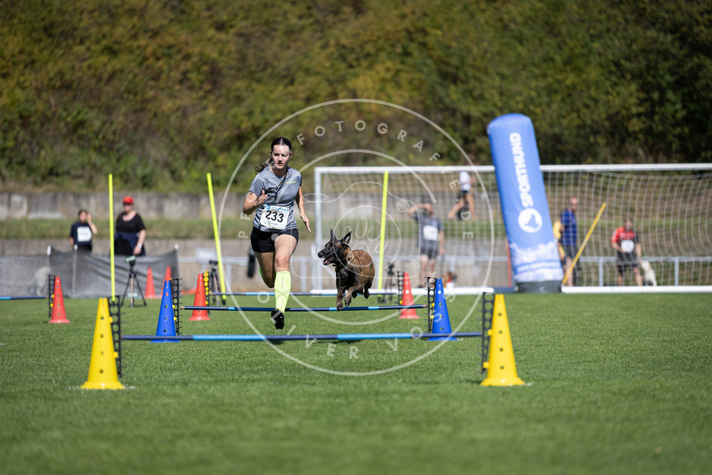 Pfotenfotografie_DV3A5740 | Hundefotografie, Tierfotograf, Pfotenfotografie, Fotoshooting Hund, Hunde Portrait, Hundesport, Hundeportraits, Heideshooting, Hunde, Sportfotograf, Hundefotograf, Turnierhundsport, THS,  - Realisiert mit Pictrs.com